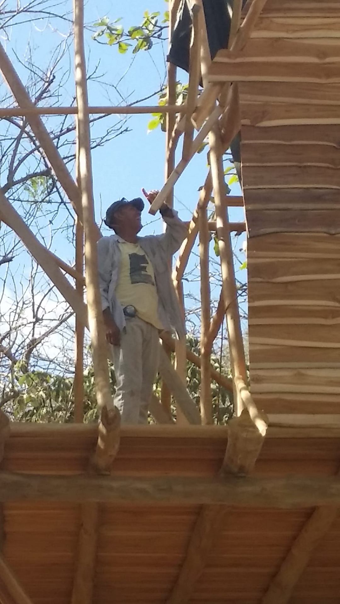 Chilo, the master builder, standing on the framing of Treehouse Almendras, holding a piece of timber up to a rafter.